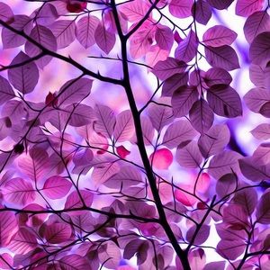 Meet your Posher, Su